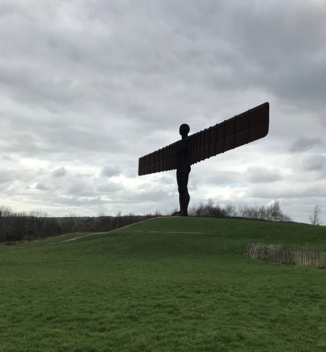 Reed Education tweet media