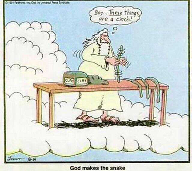 Austin What Now tweet media