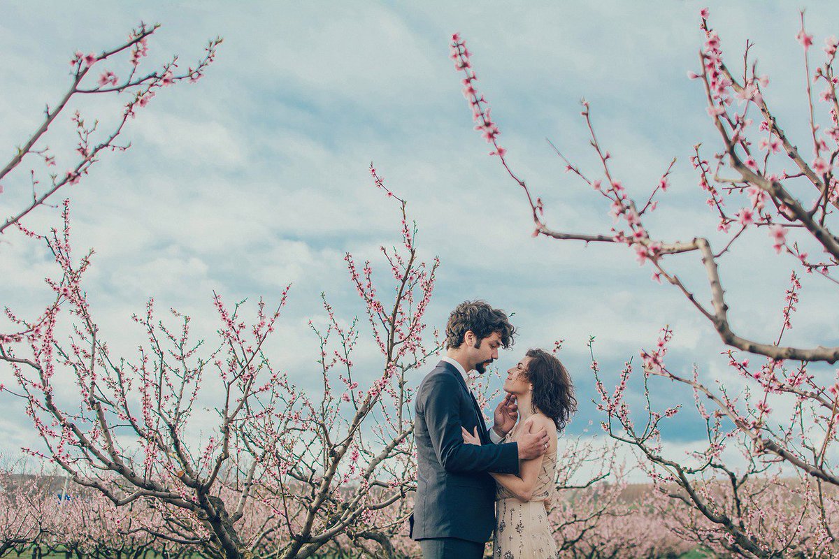 eDiamond4Love's tweet photo. "Love all, trust a few, do wrong to none." William Shakespeare
#valentinesdayeveryday #showitwithdiamonds #celebratelove #diamondsgodigital #love #loveposts #relationshipgoals #ediamonds4love #shareyourlove #ediamondapp #cryptocurrency #crypto #cryptolove #blockchain https://t.co/xHvzANLAgD