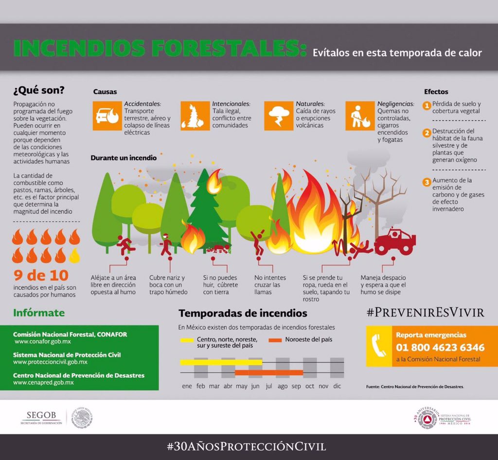 PCIVILQRO's tweet photo. #PrevenirEstaEnTi ¿#IncendiosForestales? si vas de paseo,no quemes basura y solicita autorización para realizar quemas controladas. @CONAFOR 
#PorunaCulturadePrevencionyAutocuidado https://t.co/KodGLYNeMY