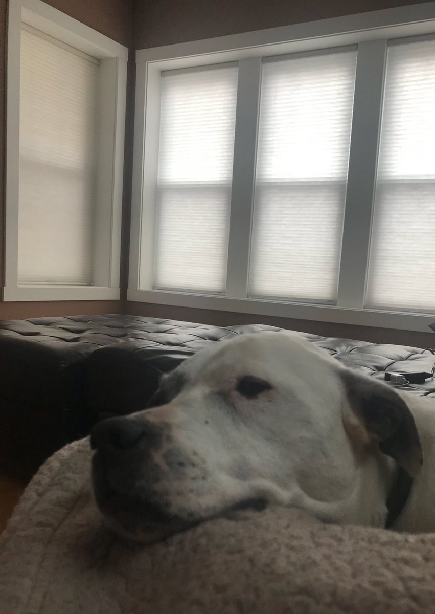 djheather's tweet image. #BackAtHome #CaseOfTheMondays #SnuggleSession #Chicago