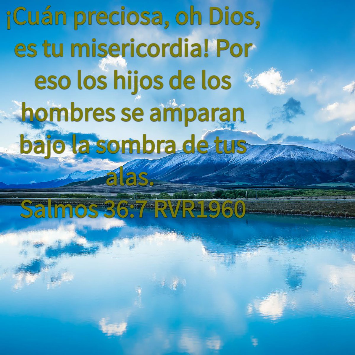 Pazyvida2018's tweet photo. ¡#Cuán #preciosa, oh #Dios, es tu #misericordia! Por eso los #hijos de los #hombres se #amparan #bajo
#Jehová
#cristo
#cafeconnata
#advenimiento
#ascencion
#arrebatamiento
#Valdiviacl https://t.co/Z6IyXyc1jv