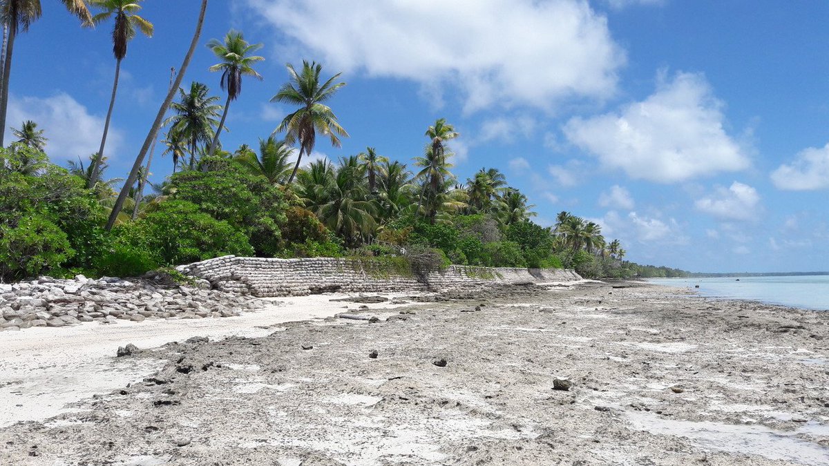 EcoShape BuildingwithNature tweet media