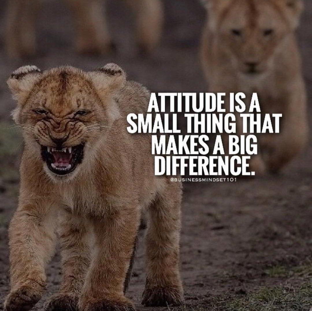 kknkeyur's tweet photo. #NewProfilePic https://t.co/anpTkik6De