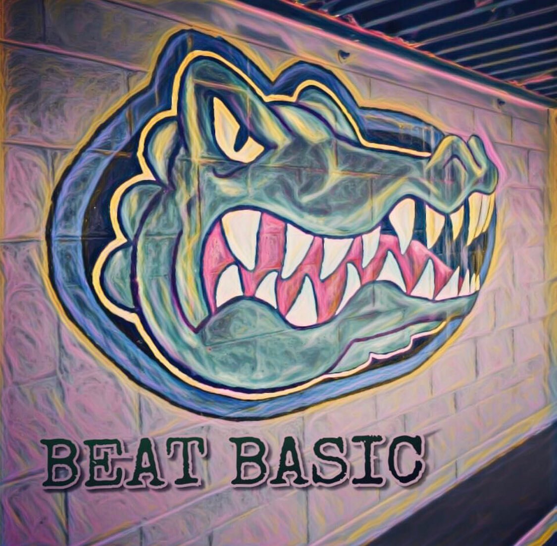 gv_softball's tweet photo. #BeatBasic #GVGatorSoftball https://t.co/bvpzcWG48U