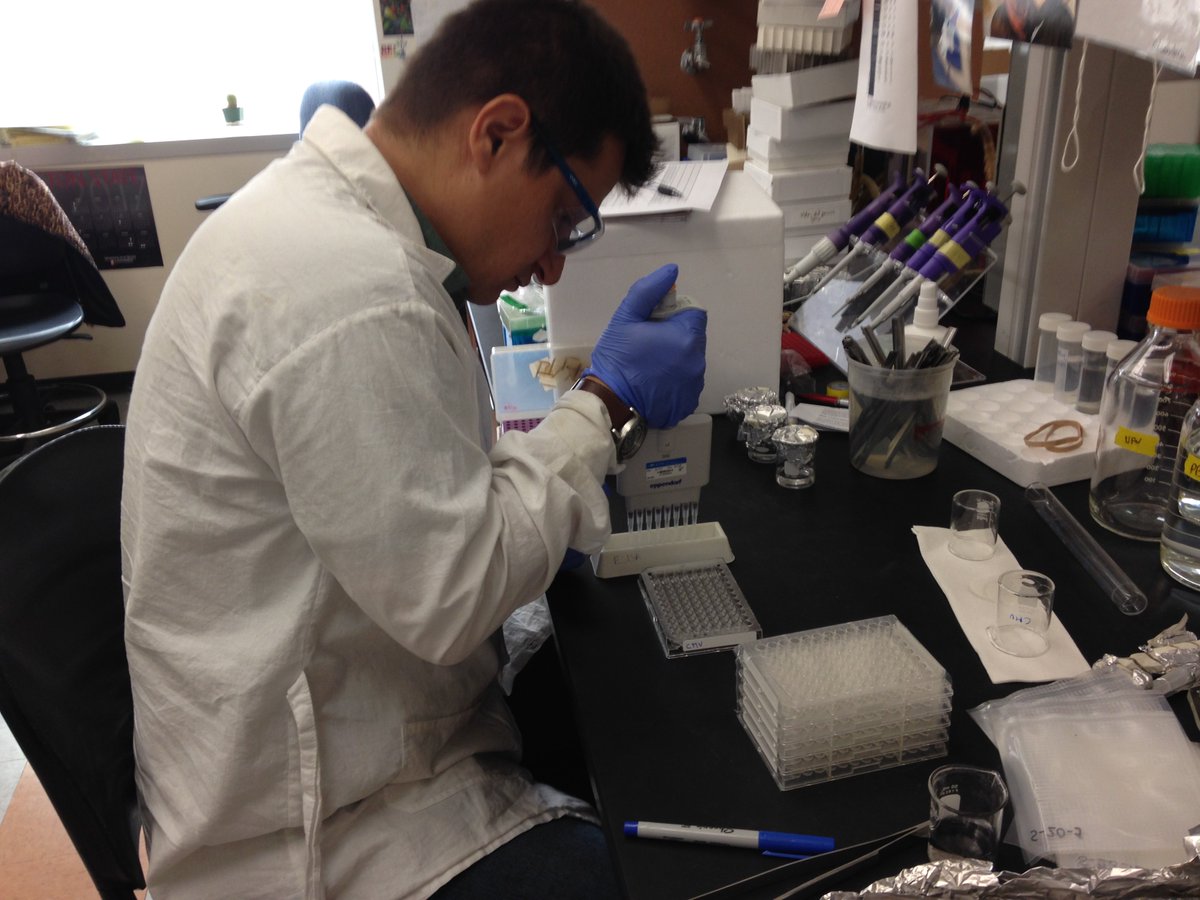 TidalLeader_WSU's tweet photo. “I wanted to improve,” he said. “There are always things to learn.”

Learn &amp; SHARE how #WSU Plant Pathology PhD Candidate Cristian Olaya grew through Tidal #Leadership: https://t.co/Kfdh9E2Nxl https://t.co/RelsjR5KJy