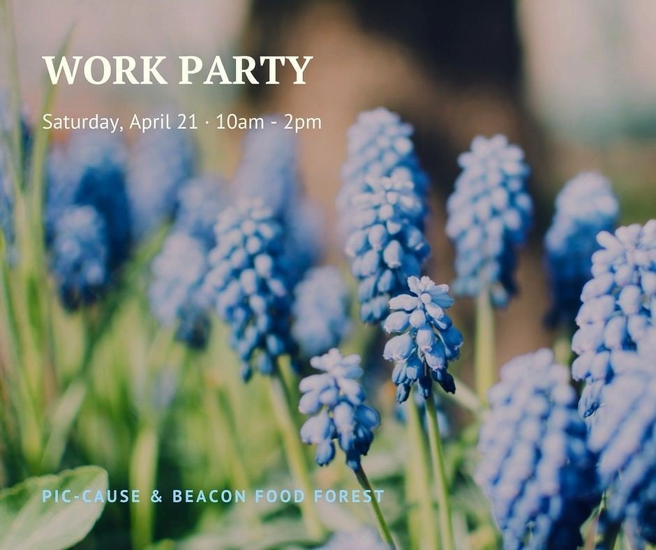 causeneffectsea's tweet photo. This Saturday!
Come show off your green thumb at the @beacfoodforest !
🌿
Live Performance featuring Je Mati and @MarshallLawBand during lunch!
❤
DM for further details!
🌱
#Seattle #communitymatters #livemusic #gardening #communitygarden #PicCause #MarshallLaw #love https://t.co/3n4FNOIWhD