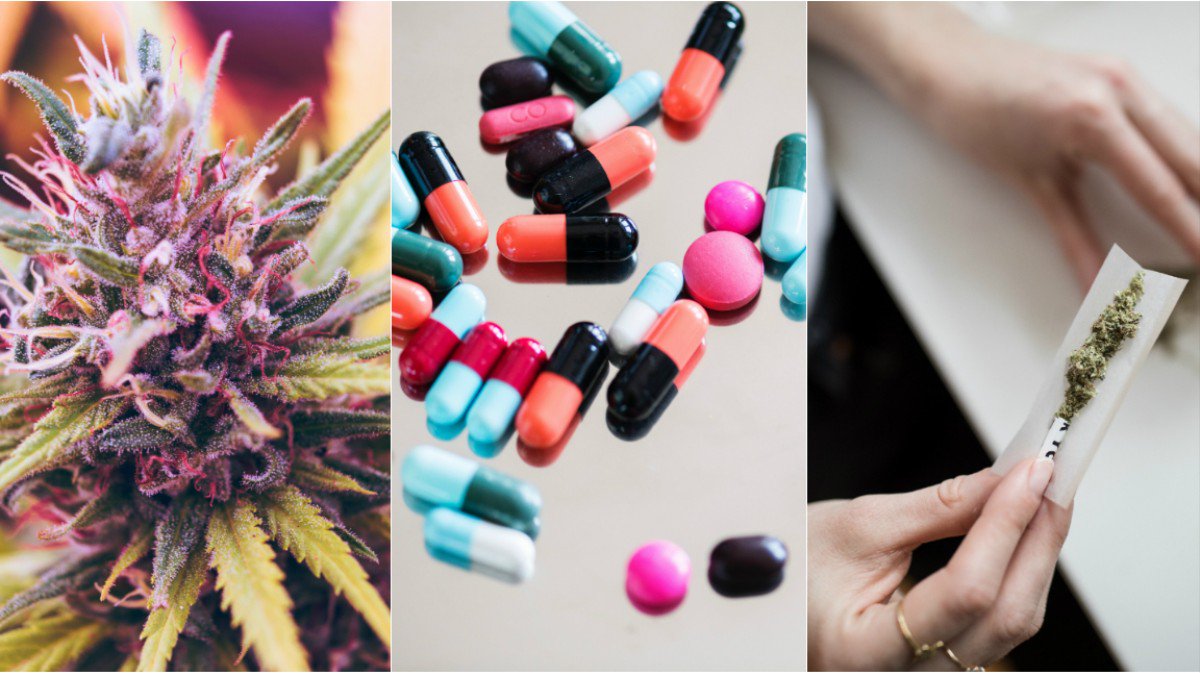 VICEBRASIL's tweet image. Abrindo os trabalhos da semana canábica da VICE, estreamos a coluna Baseado em Fatos. Nosso primeiro papo é sobre como a política de redução de danos é mal aproveitada no Brasil, mesmo se mostrando tão eficaz ao longo de décadas.  vice.com/pt_br/article/…