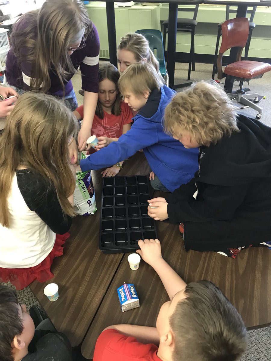MedinaSchool's tweet photo. Now that it looks like we will have spring, 5th grade has begun their pollinator project for our garden. #greenthumbs https://t.co/hGQeeyjZ4B