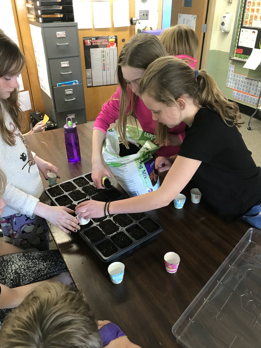 MedinaSchool's tweet photo. Now that it looks like we will have spring, 5th grade has begun their pollinator project for our garden. #greenthumbs https://t.co/hGQeeyjZ4B