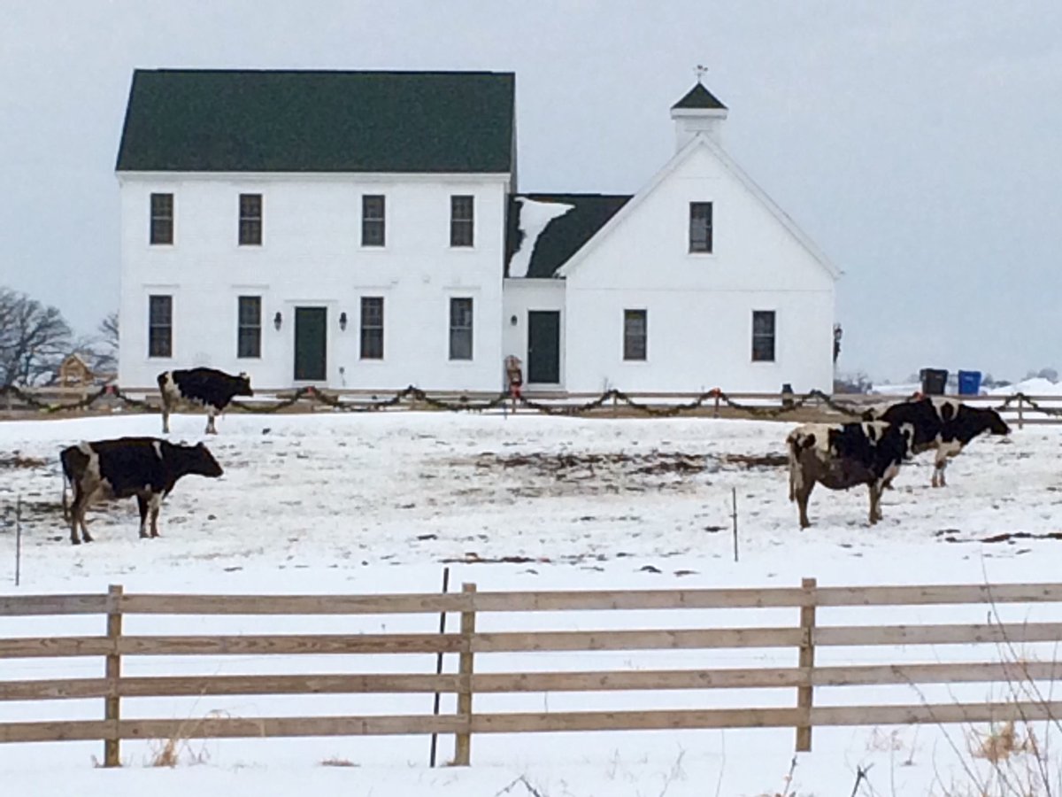 berrystudio1's tweet photo. Springtime in Wisconsin. Time to fertilize the front yard. #manure #weather #winterofourdiscontent #photo #wistatejournal #captimes #travelwisconsin #wisconsinlife #cityofmadison #isthmus #photography #photooftheday #paoli https://t.co/nh8SW504N3