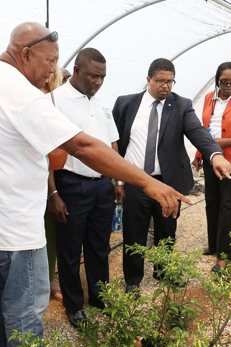 bisbahamas's tweet image. Farming and Fishing industries are on the comeback after several hurricanes‼️🥦🍠🥒🥕🌽🐥🐐 

#BahamasInformationServices #OfficialSource #Farming #Livestock #Students