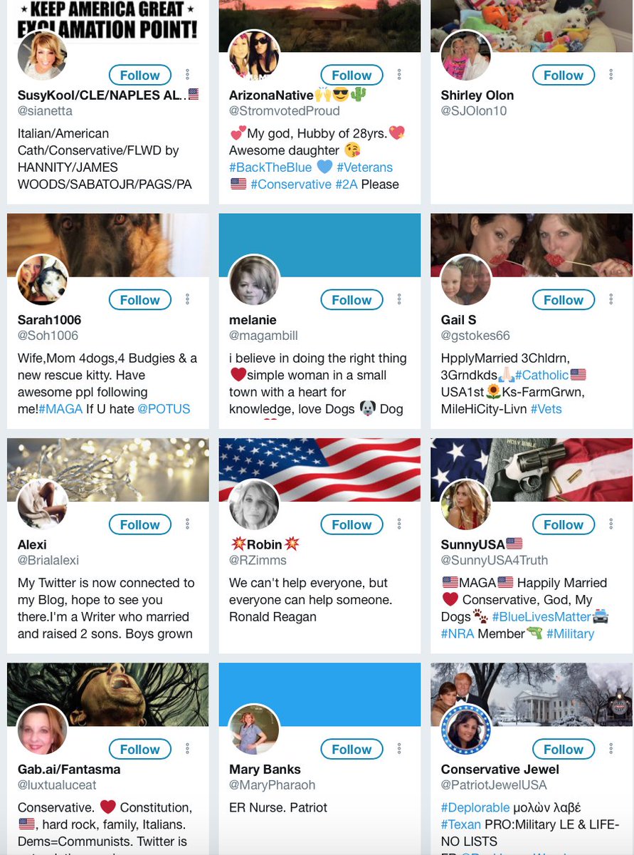 DonaldJOrwell's tweet photo. If you're wondering why Sean Hannity is Michael Cohen's client, notice that with his Twitter account, he only follows celebrities, trolls, and women. https://t.co/WxlAE5RSIL