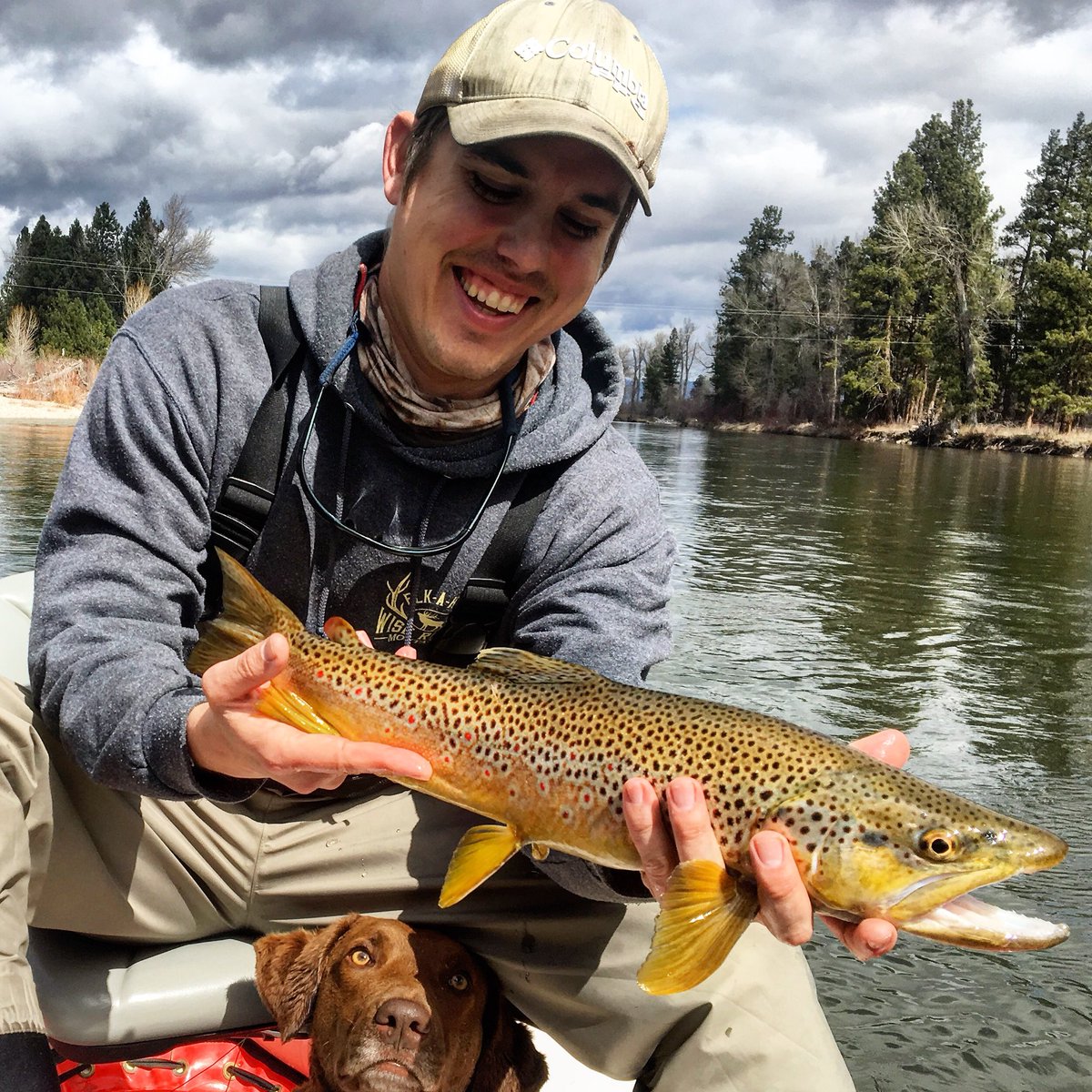 flykayak's tweet photo. Brown town! #FlyFishing #trout #Montana #troutfishing #river #spring #fishing https://t.co/VK1HtXN9sj