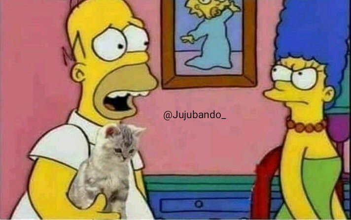 Kronosshot's tweet photo. qnd acho um animalzinho na rua e tento convencer a minha mãe pra deixar eu ficar com ele https://t.co/OtFX8uaBzo