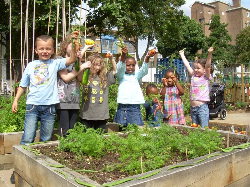 TreesforCities's tweet photo. A3: @PrimaryRocks1 With a jampacked curriculum, we understand that getting pupils and teachers outside can be tricky. That's why Edible Playgrounds are so great, because they get kids excited about learning in a fun outdoor environment! #PrimaryRocks https://t.co/hi2inQoJPM