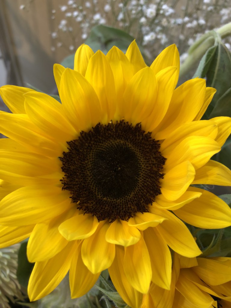 Pureflowers_'s tweet photo. What a crazy busy day, can’t complain, but now flat out for the rest of the month. #flowertastic #worcestershirehour #florist #stourport #sunshine https://t.co/FqmzCsqyX1