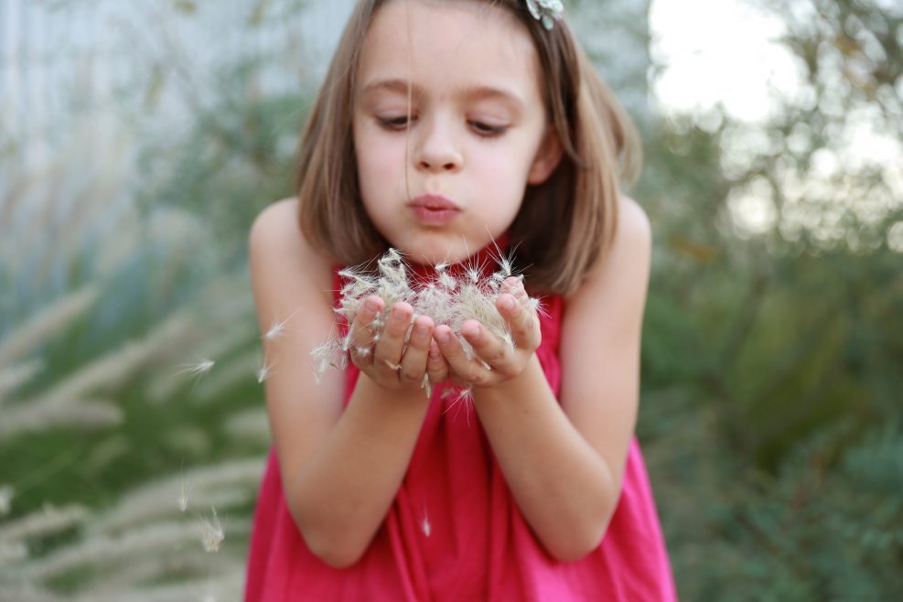 And For This Fall dianawrote.com/2018/04/and-fo…