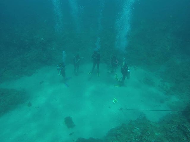 SCUBAPANAMA's tweet photo. #Lunes para iniciar un nuevo reto! Si aún no eres buzo, ¿Qué esperas para certificarte con los mejores?
Todos los lunes inicia un nuevo curso de #openwater
#newdivers #adventure #openwaterdiver #getcertified #extremesportscuba https://t.co/DPzTXSmNew