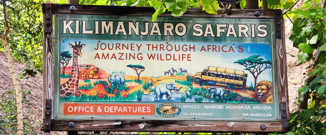 WhatsDisPod's tweet photo. #Jambo! Today we are trekking through Animal Kingdom as we interact with #Pipa the talking #Recycle bin and Wes Palm the talking palm... https://t.co/yXDdSzPeJA #AK #AnimalKingdom #Disney_World #Kiliminjaro #MarchOfTheArtimals #Simba1 #Walt_Disney_World #WesPalm #WhatsDis ... https://t.co/cQfn2BsmKu