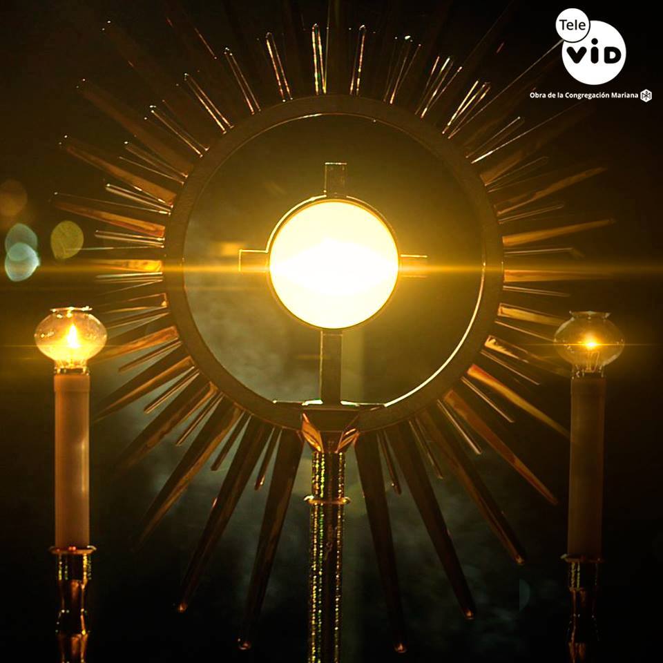 Canaltelevid's tweet photo. Bendito y alabado sea el Santísimo Sacramento del Altar. https://t.co/wbzavcAA79