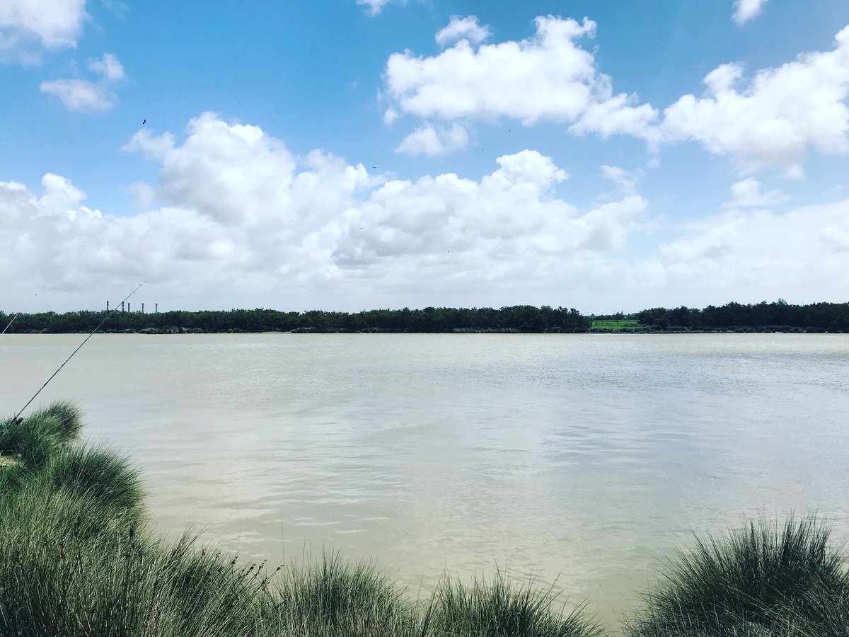 KenitraPlus's tweet photo. 😍 #sebou #river #kenitra #city #morocco #maroc #marruecos #portlyautey #centerville #citycenter #center #port #helala #kac #medina #kenitraplus https://t.co/ksDEqasU71