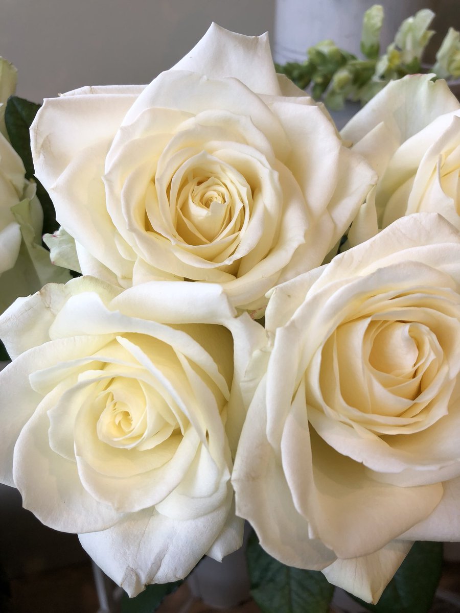 Pureflowers_'s tweet photo. For all life’s celebrations - @Pureflowers_ #florist #Worcestershirehour #stourport https://t.co/8R5wP456L4