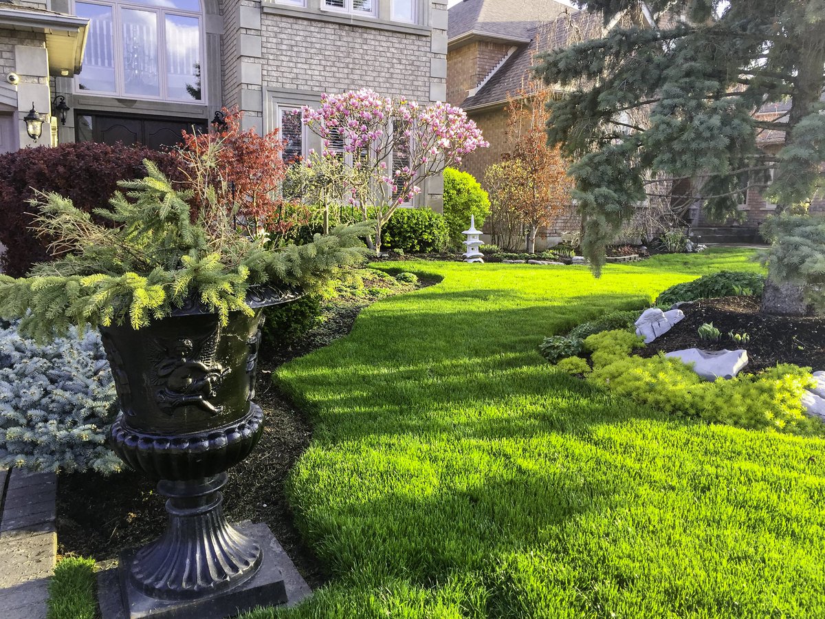 SoloLandscape's tweet photo. Tell us about one of your favorite types of trees! https://t.co/ggMYfPHtKZ