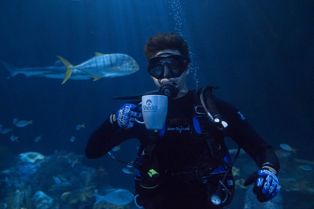 shedd_aquarium's tweet image. This Earth Week, #LetsSheddPlastic together for a healthier aquatic world! Every year, 8.8 million tons of plastic pollution finds its way to our oceans and waterways, harming animals who might ingest or get trapped in it.