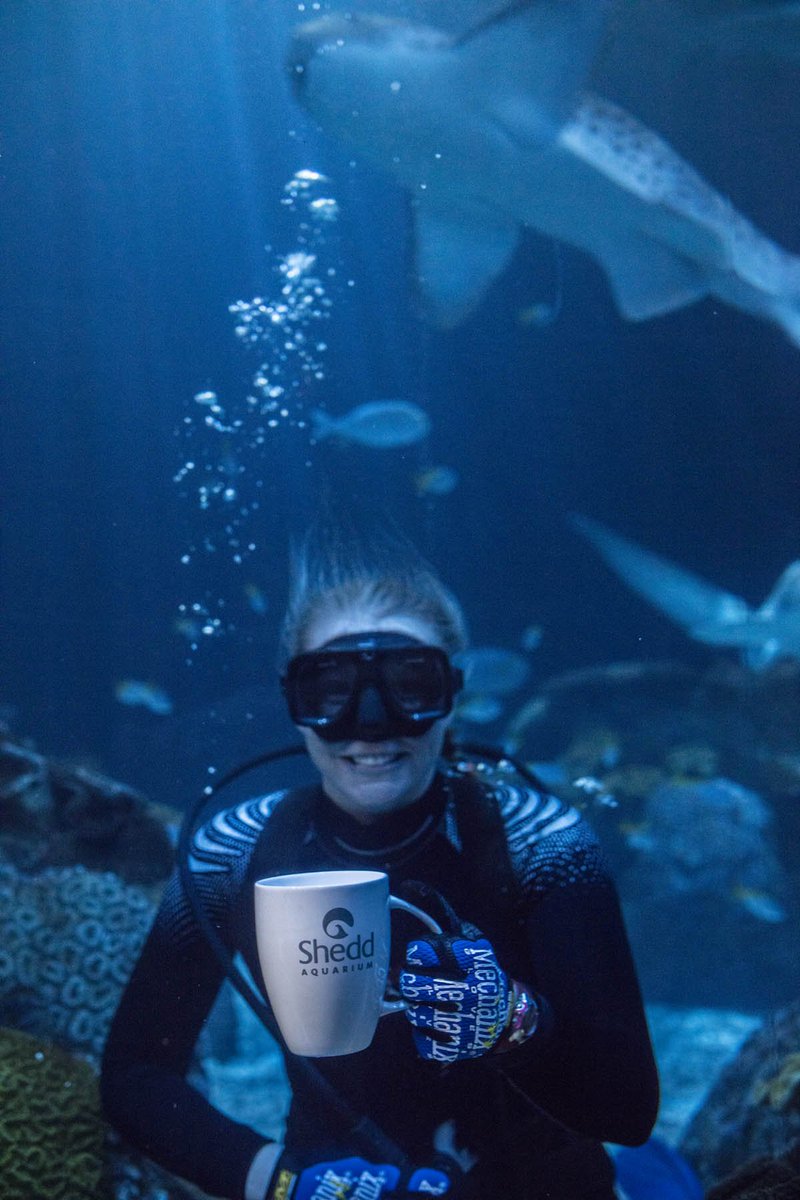 shedd_aquarium's tweet image. This Earth Week, #LetsSheddPlastic together for a healthier aquatic world! Every year, 8.8 million tons of plastic pollution finds its way to our oceans and waterways, harming animals who might ingest or get trapped in it.