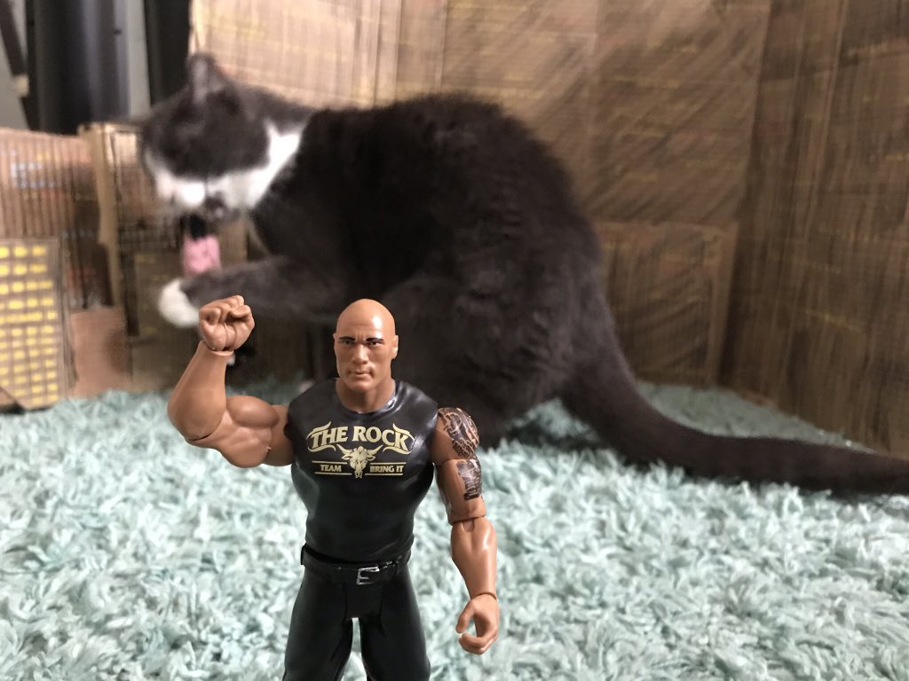 filmtrials's tweet photo. Our review of Rampage will drop this evening. But in the meantime, enjoy these exclusive stills of @TheRock on the set of Rampage 2!

#RampageMovie #rampage #RampageTheMovie #DwayneJohnson #TheRock #CatsOfTwitter #cats #MondayMotivation #Caturday #MovieReview #PodernFamily https://t.co/1mraEIoTjC