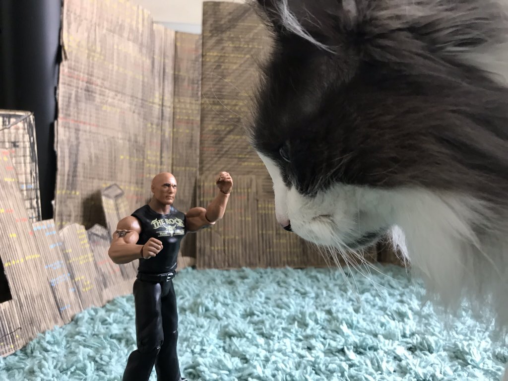 filmtrials's tweet photo. Our review of Rampage will drop this evening. But in the meantime, enjoy these exclusive stills of @TheRock on the set of Rampage 2!

#RampageMovie #rampage #RampageTheMovie #DwayneJohnson #TheRock #CatsOfTwitter #cats #MondayMotivation #Caturday #MovieReview #PodernFamily https://t.co/1mraEIoTjC