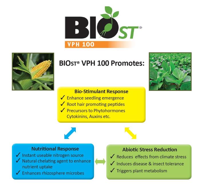 unified_ag's tweet photo. #BioST VPH 100 seed enhancement delivers proven performance on corn and soybeans. Apply the biostimulant seed treatment that enhances healthy seedling. https://t.co/et6cAKJW0E