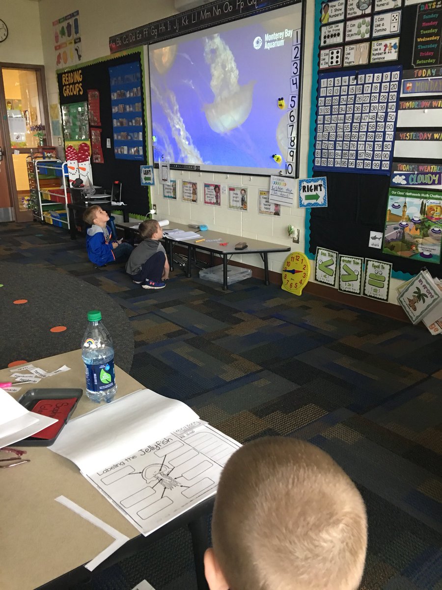 MsMitchell04's tweet photo. We started our ocean unit this week! We kicked it off by learning about jellyfish! We watched the live cam by @MontereyAq during writing too! They loved watching how jellyfish move! #iteachk #kindergarten #techykinders #iteachtoo #rcpssuccess https://t.co/souCUygo93