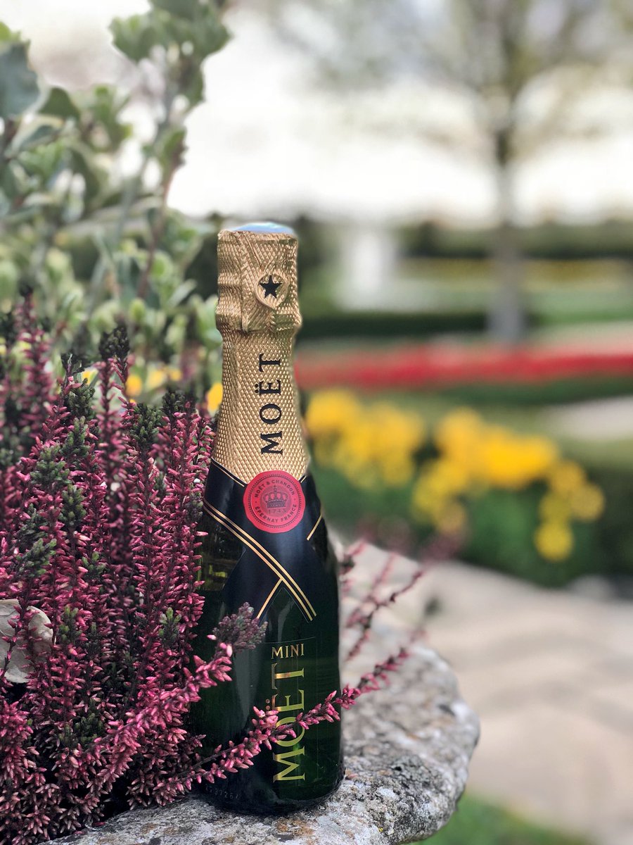 comoescarlos's tweet photo. Moët o'clock! #moetmoment https://t.co/Nt93g7Ixr5