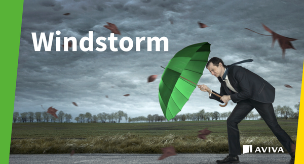 Your vehicles may be at risk during severe windstorms. Park your cars inside a garage when possible and stay off the roads if you can. 

#ONstorm #QCstorm #verglas #snowday #icestormTO #icestormToronto #safetyfirst #staysafe