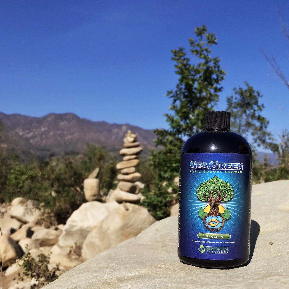 primordialsolut's tweet photo. Happy Monday everyone! Hope you love today like your plants love Sea Green! 💚

 #primordialsolutions #womengrow #seagreen #truebloom #rootamentary #paleobloom #marijuana #nugporn #terps #weedstagram  #cannabisculture #cannabiscommunity #cannabislife #loyaltothesoil https://t.co/SY8l2BgyHT