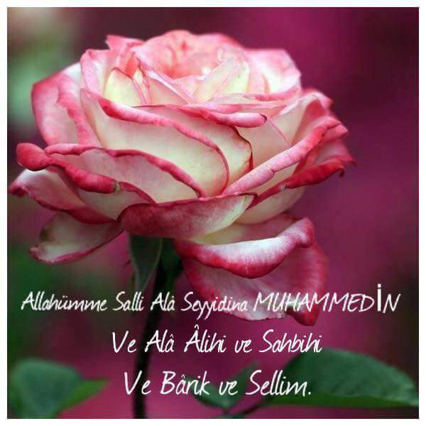 #Bu gece Şa'bân-ı Şerîf Ayının ilk gecesidir. 
#Mübarek Olsun! Hepinizin Şa'bân-ı Şerîf ayıniz. Bu ayın sâhibine #salât-ü #selâm olsun

🌹Allâhümme Salli Alâ Seyyidina Muhammedin Ve Alâ Alihi Ve Sahbihi Ve Sellim..! 
amiin🌹