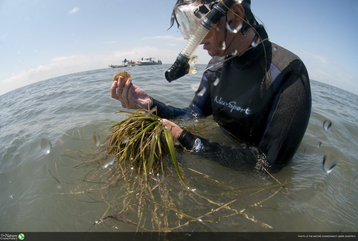 nature_org tweet picture