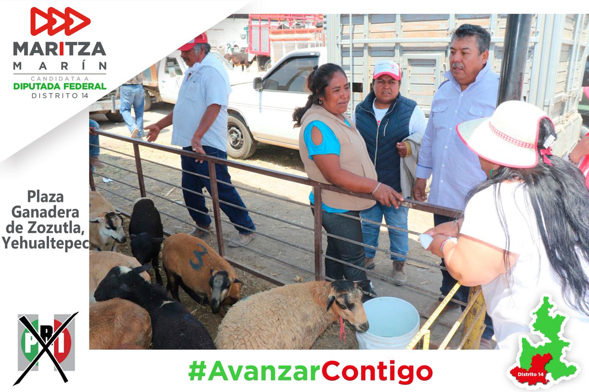 MaritzaMarinM's tweet photo. Encuentro con productores y comercializadores de la plaza ganadera de Zozutla municipio de #Yehualtepec, donde compartimos ideales para mejorar el #Distrito14Federal. Juntos ganaremos este PRImero de julio. #MaritzaConYehualtepec #AvanzarContigo #VamosJuntosAGanar #SomosPRI https://t.co/SDbpWhlugr