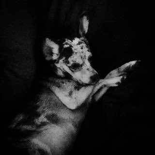lifewithmorten's tweet photo. I love my life! #lifeofmorten #love https://t.co/C8Fhzhf0lA