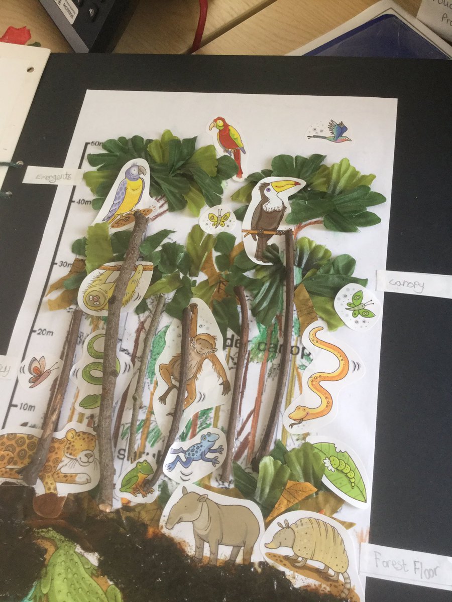 Richmond_HT's tweet photo. What fabulous home learning about the rainforest from Amethyst & Citrine class! How impressive! #easterprojects https://t.co/uUt0XiOeP1