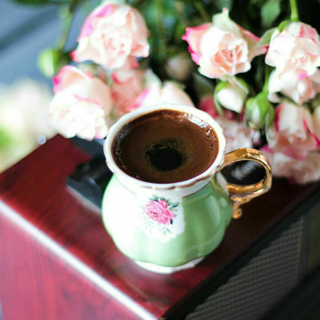 لا تفسدوا قداسة #القهوة بأربع معالق من السكر بإمكانكم طلب عصير برتقال عوضا عن ذلك ☕️
الساده لا يشربها الا الساده 
🍃😉