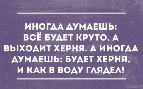 https://pbs.twimg.com/media/Da7uXXuWsAI_kM2.jpg