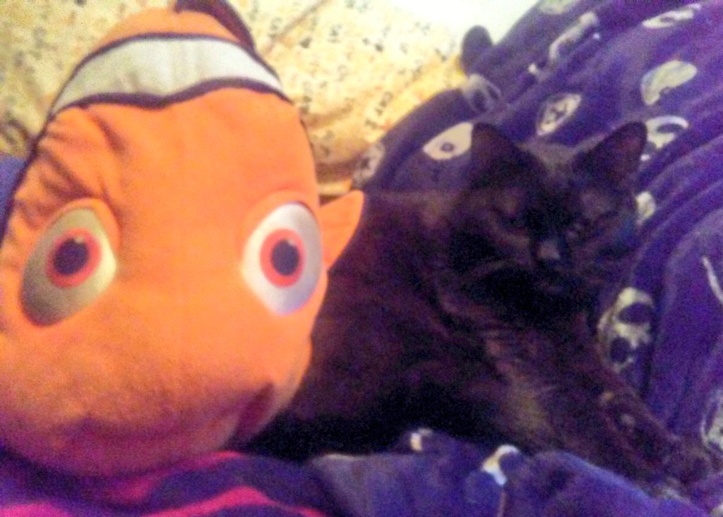 What does the Mob say? "If your a good girl you get to nap with the fishes."