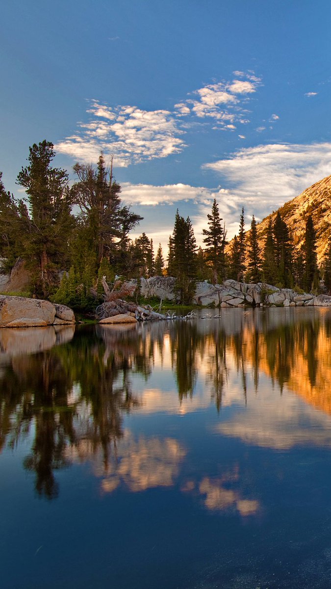 İlim ilim bilmektir ilim bilim bilmektir eyer bilmessen ilmi bilemzsin bilmi.Hakki bilmek ilmi ve bilimi bilmenin en kolay yoludur.La galibe illallah.