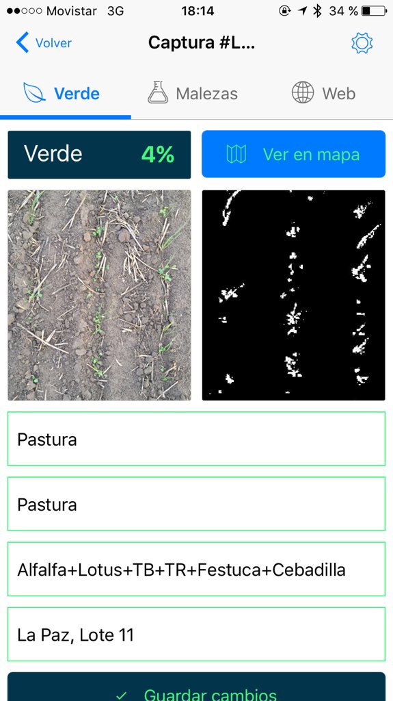 pabloerrazu's tweet photo. Monitoreando plagas en Implantación de Pasturas.
#sacheando #Ganaderia @Gentosjose @gentos_sa https://t.co/YgQInXlzg0