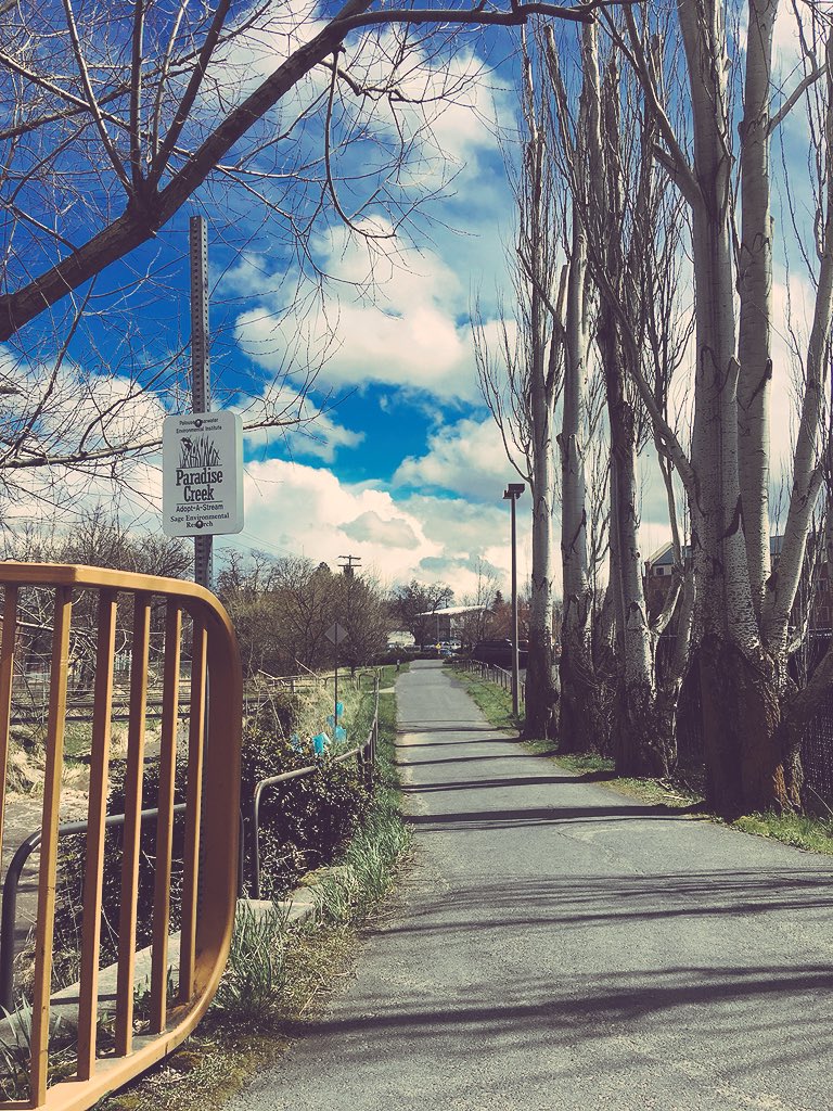 ExploreMoscow's tweet image. This Monday calls for a walk along Paradise Path. ☀️🚶🏼‍♀️😄