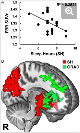 Dr. Rhonda Patrick tweet media