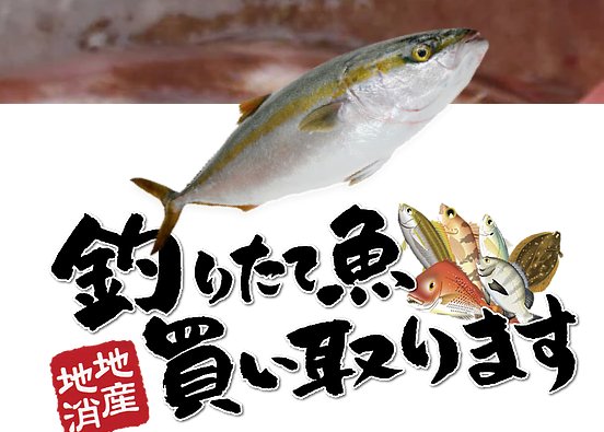 魚買取 Twitter Search Twitter